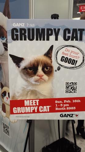 grumpy cat cat toys