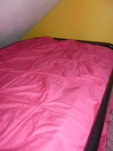 Picture 131