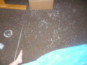 13 don't leave pellets with kids what a mess!
