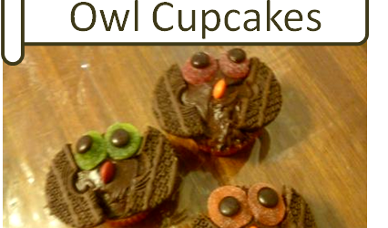 Cute and Easy Homemade Owl Cupcakes