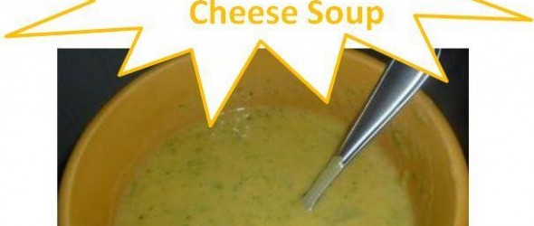 How to Make Easy Homemade Broccoli and Cheese Soup {Recipe}
