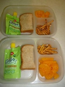Go go squeeze in lunch box