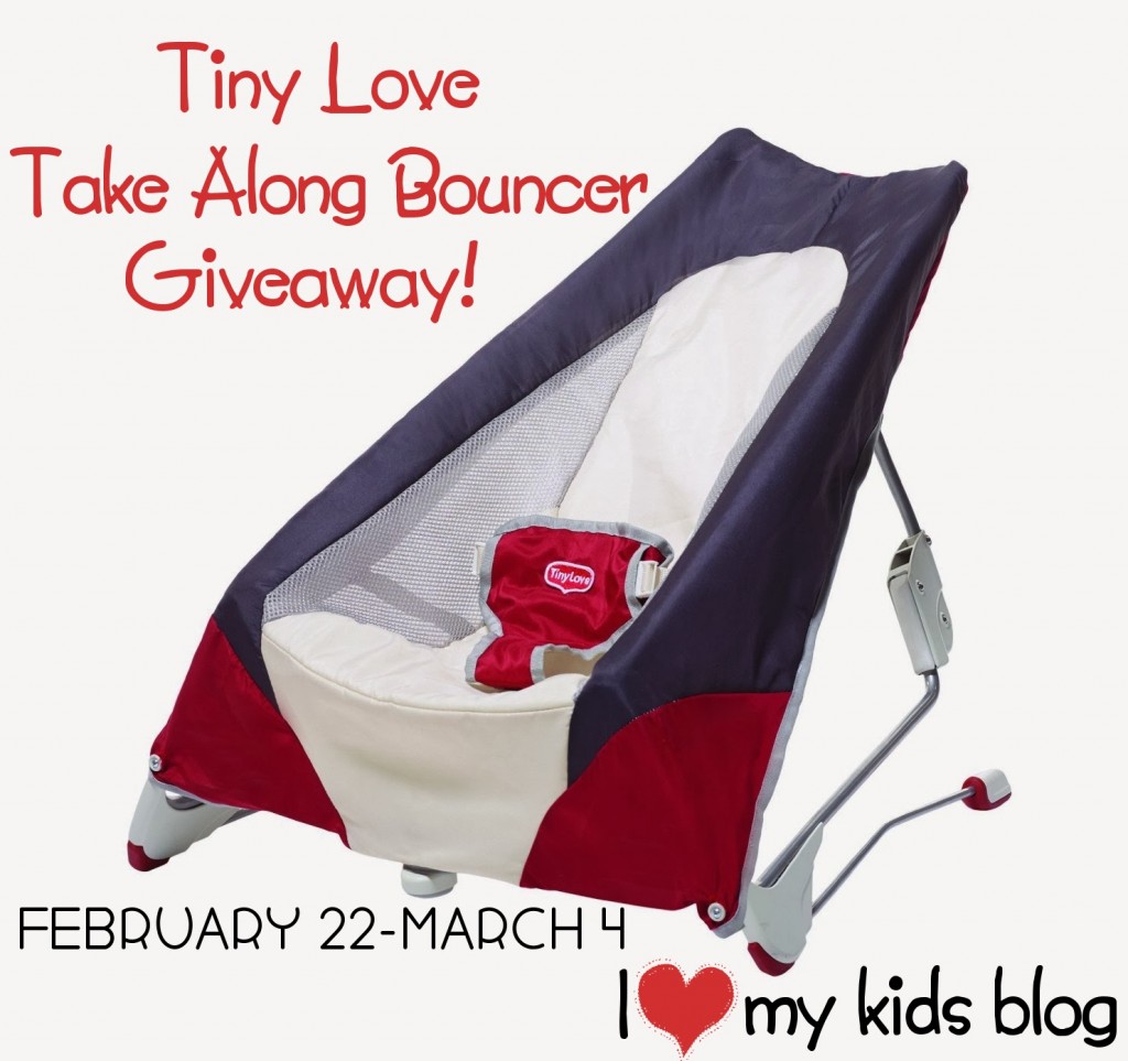 take along bouncer
