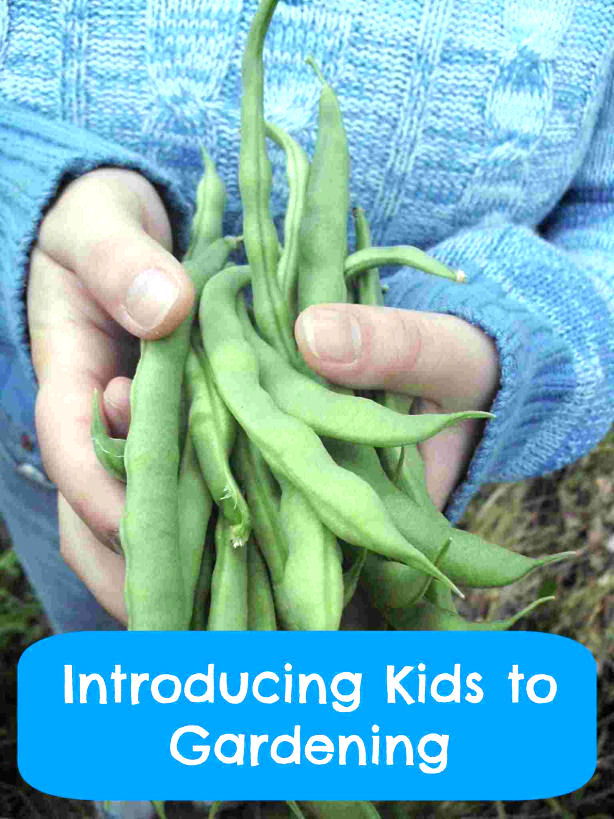 Introducing Kids to Gardening