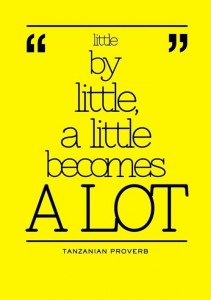 little by little becomes a lot