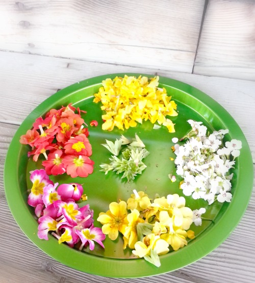 Spring-flowers