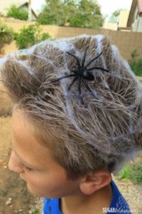 Halloween Hairstyle The Spider Web