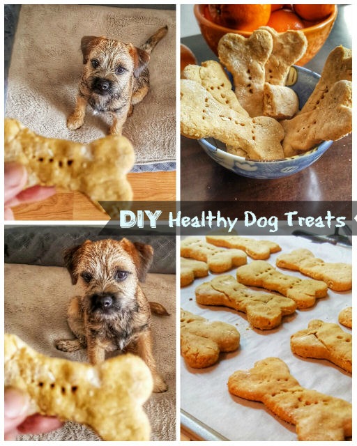 DIY Healthy homemade dog treats